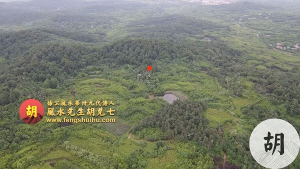 在安徽合肥为福主点穴，喝形燕子窝
