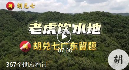 老虎饮水地，胡兑七阴宅作品