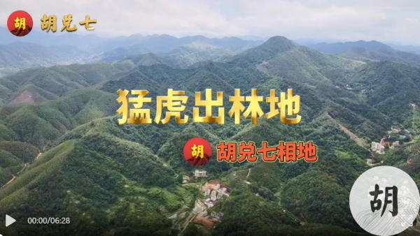 广东高州为客户点“猛虎出林”