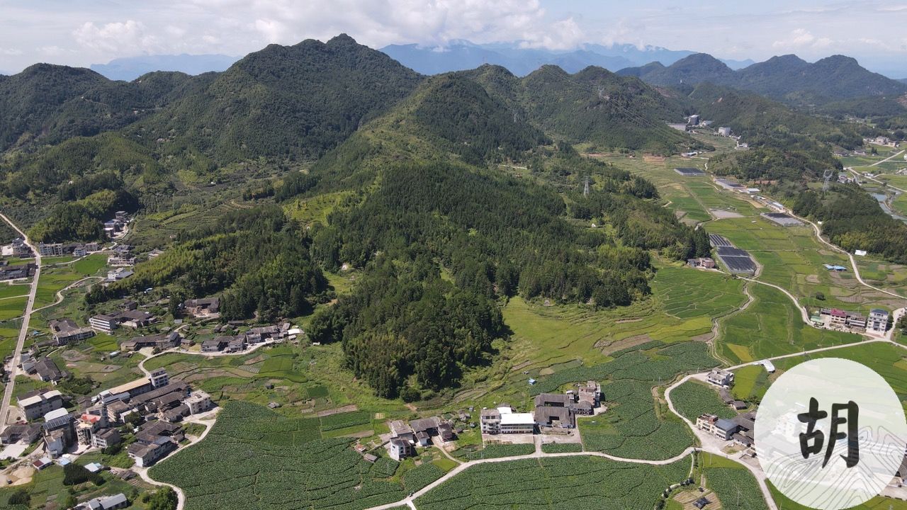 在福建做阴宅风水，为客户家迁祖坟，喝形灵龟出海形，作未山丑向，水入文库，纳亥水寅峰尖秀，亥峰作印，狮象水口，华表卓立