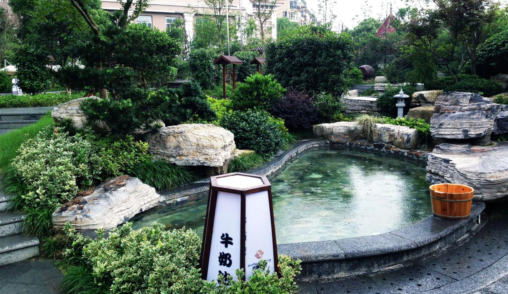 图片展示