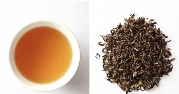 20.特級普洱紅茶9888