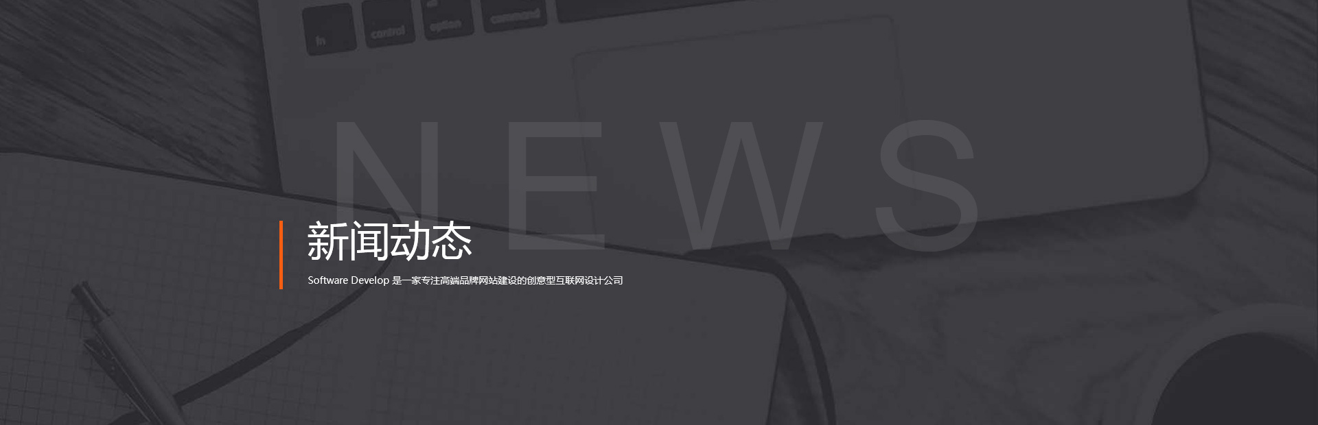 图片展示