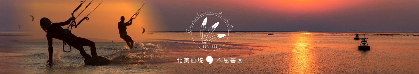 图片展示