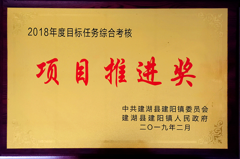 项目推进奖