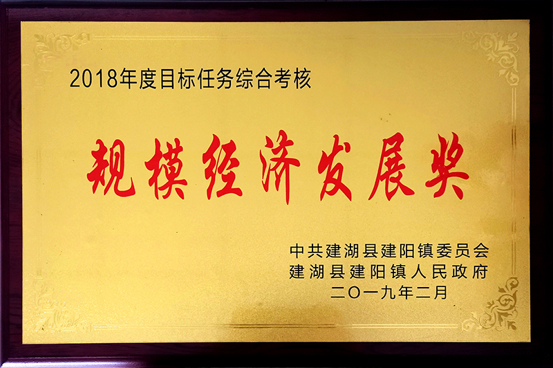 规模经济发展奖