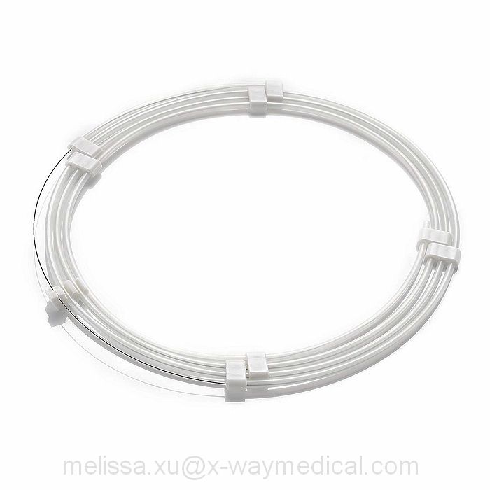 190cm 300cm Flexible Platinum distal tip 0.014 inch PTCA micro guide wire with nitinol core and stainless steel shaft PTFE coated, super soft water snake waist and stiff Rhino Hom