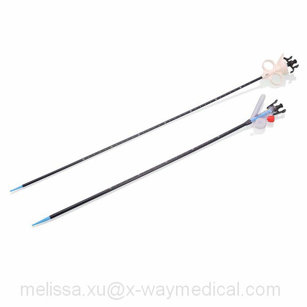 10F 12F 14F Hydrophilic Endoscopic urological conduit Ureteral guiding Access Sheath, PTFE X-Ray radiopaque urinary tract guide catheter