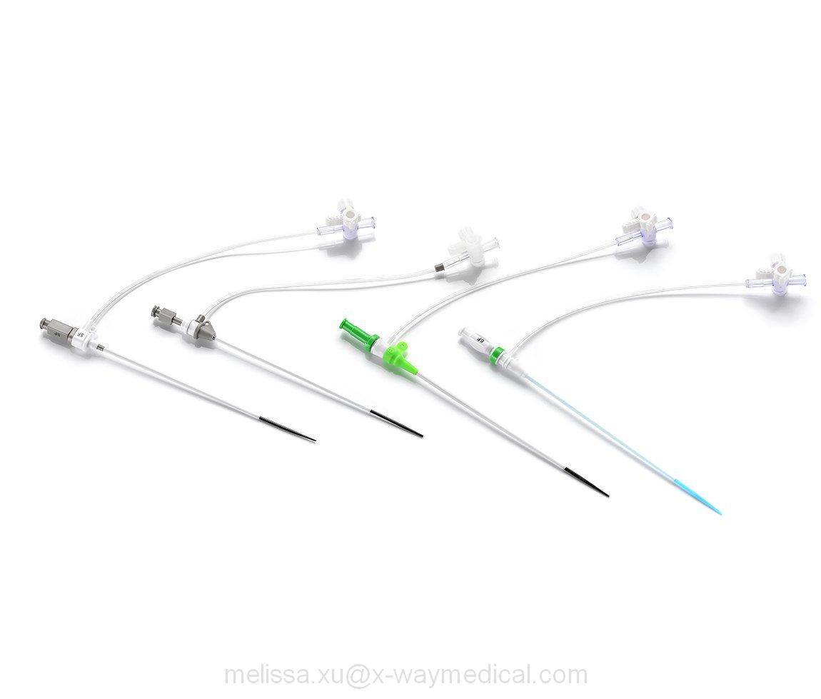 4Fr 5Fr 6Fr -10 French 9cm 11cm 23cm vascular guide wire introduction catheter, percutaneous femoral introducer sheath kit