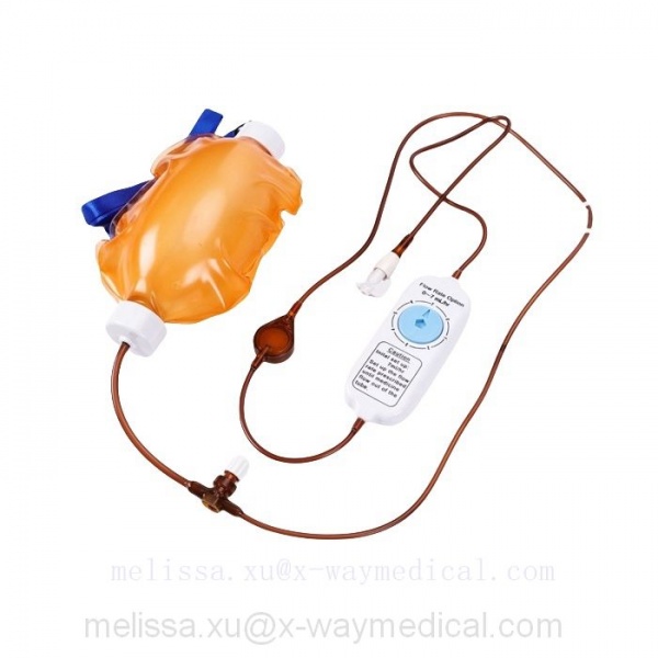 PCA multirate continuous Elastomeric infusion pumps system for pain management therapy, soft injection puncture instrument pump