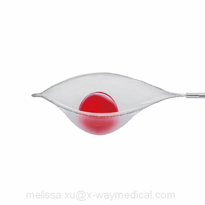 ESD EMR Polyfilm clot polyp removal net, foreign body tissue taking device Grasping snare forceps with bag for bronchoscopy and Gastroscopy