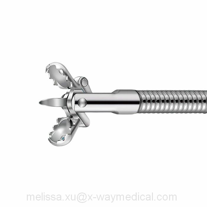 Reusable autoclavable fenestrated Oval cups deep Biopsy forceps with spike teeth, head moving hard difficult tissue tumor collection device tools