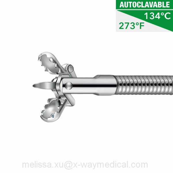 Reusable autoclavable fenestrated Oval cups deep Biopsy forceps with spike teeth, head moving hard difficult tissue tumor collection device tools