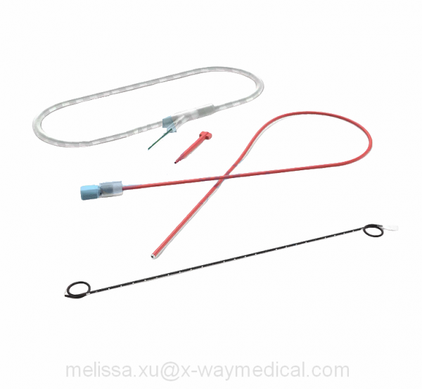 12 months Radiopaque Silicone Long-Term indwelling ureteral stent, 6F 7F 8F Soft silica long term visualize pigtail stent with marker and spray PTFE guide wire