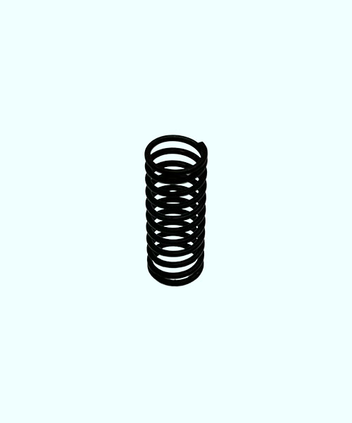 LL06 Spring