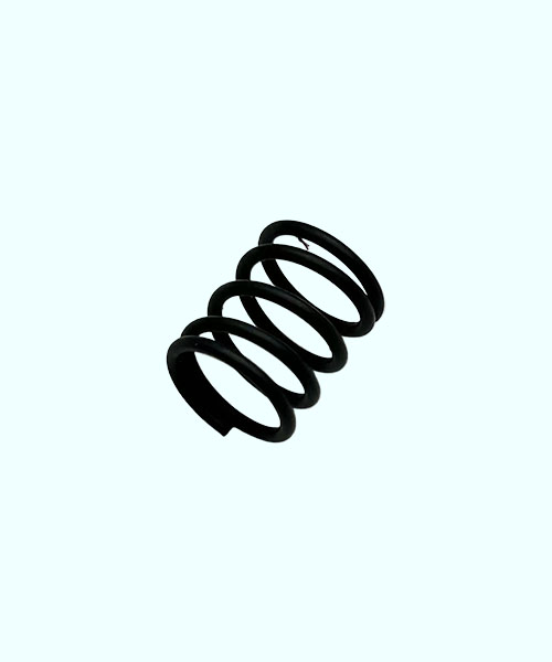 TR31 Spring