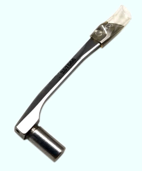 257566 Looper Pesasus