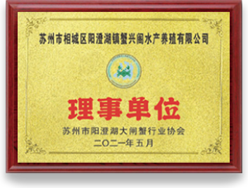 证书1
