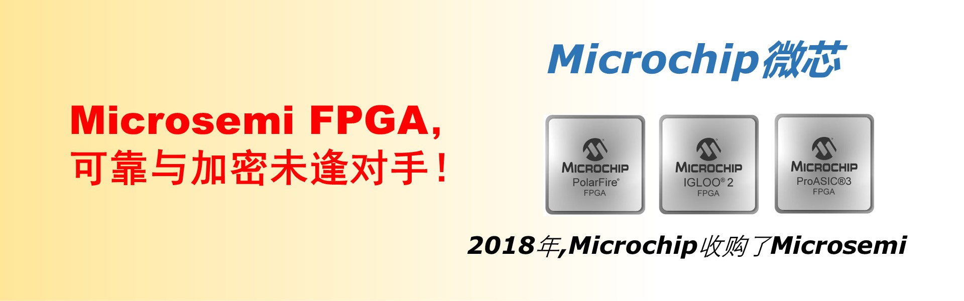Microchip