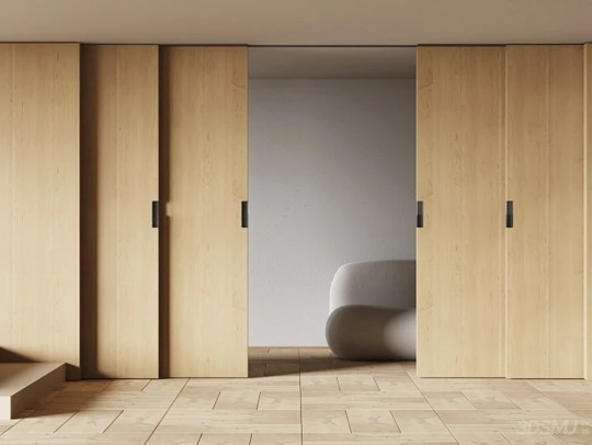 Sliding Door