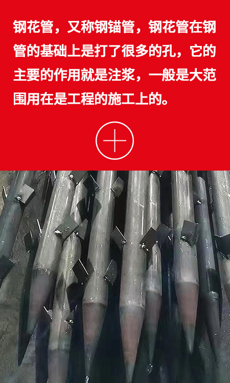 图片展示
