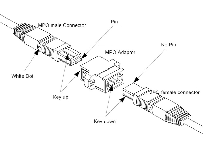 MTP MPO Adapter Key Up to Down flange flangeless MTP MPO Adapter Key Up to Down flange flangeless