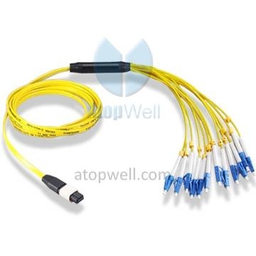 MPO-LC Harness Cable /Fan Out Patch cord SM 12f （Flat Ribbon,Branch 2.0mm）