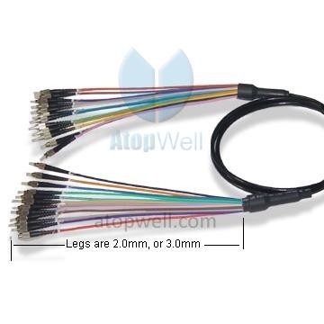  Indoor and Outdoor Multi Fiber Jumper FC SM 12fiber