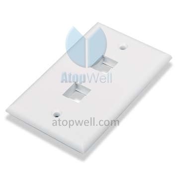 Face Plate USA type 2port