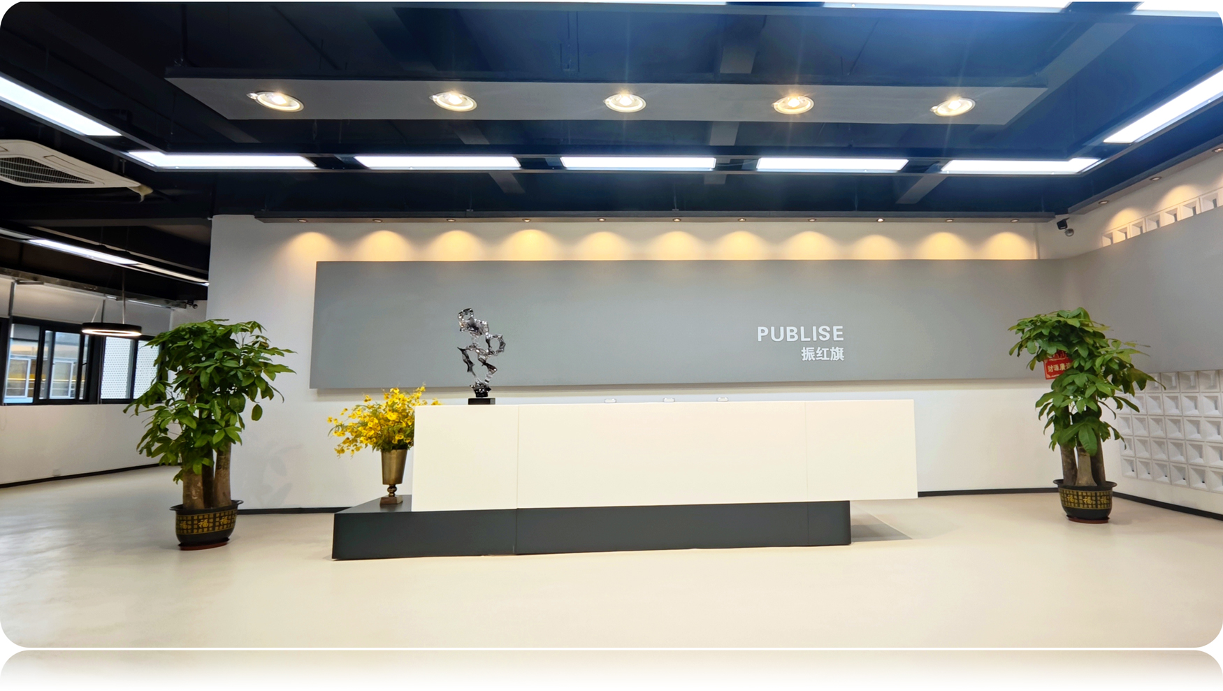 图片展示