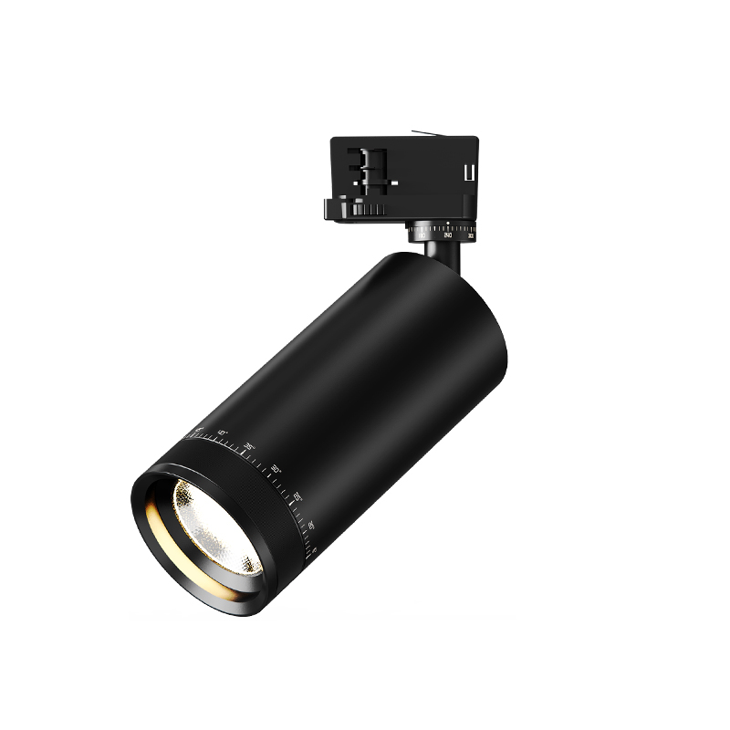 Zoom Pro