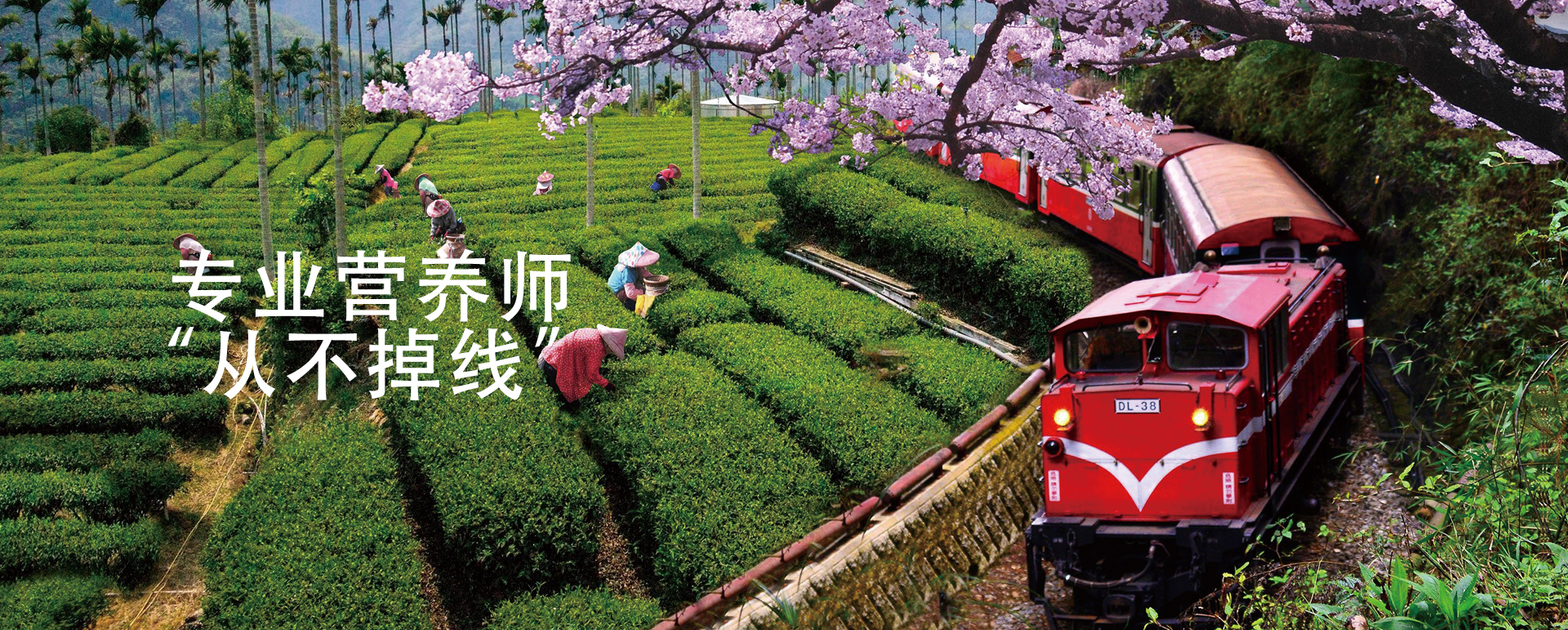 图片展示