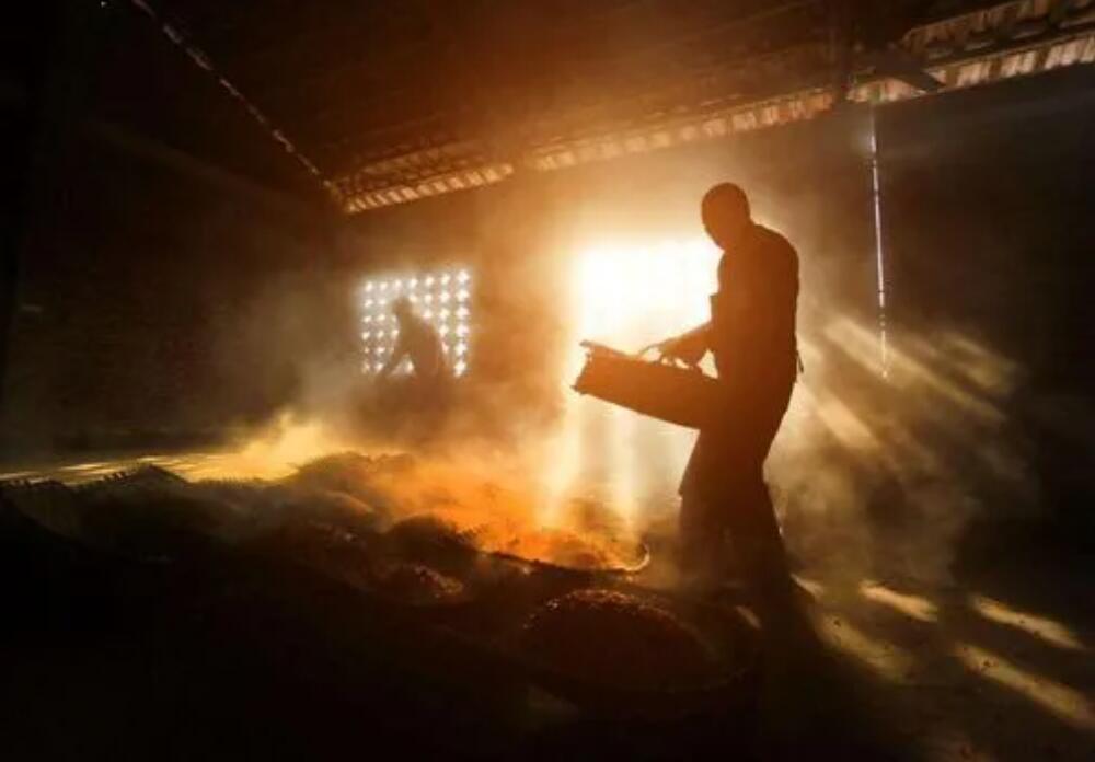 徐学阳会见俄罗斯阿穆尔农业集团客人 武安郭宝松参加会见-副本