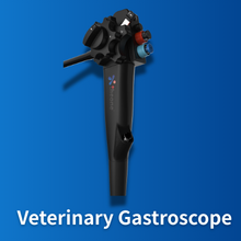 Veterinary Gastroscope