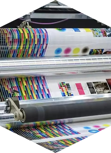    请输入正文