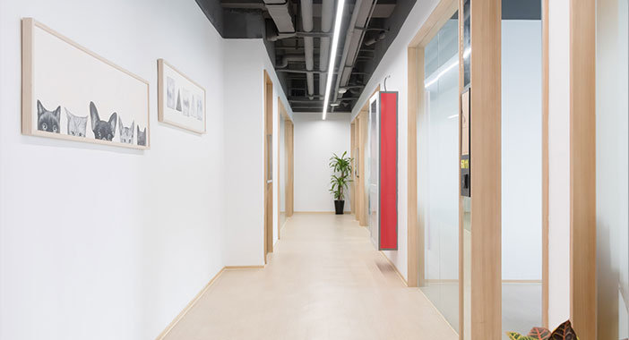 图片展示