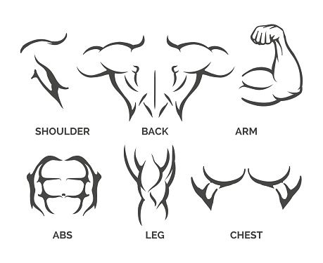 EMS muscle stimulator benefits