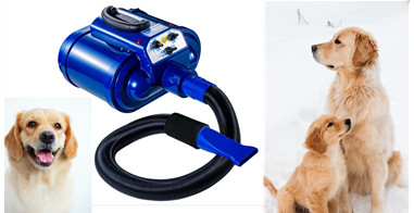 Air Force Dryer Blower, 2-Motor  Cool&Warm Air, Strong Power