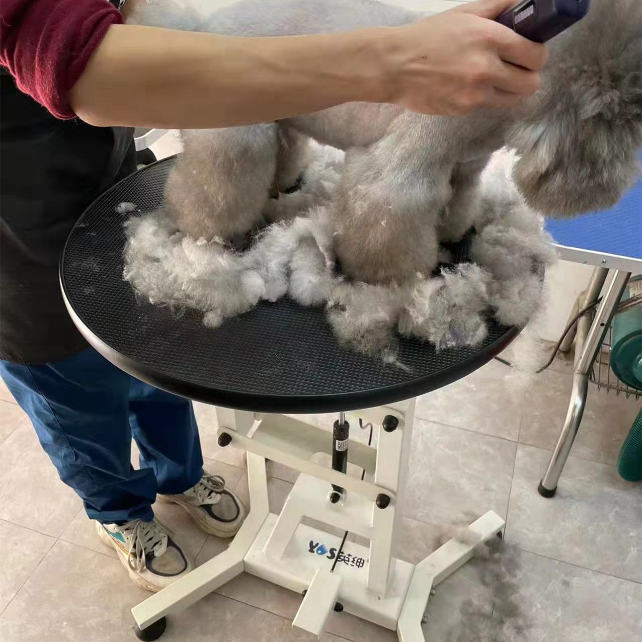 Professional Grooming Round Rotating Air Lift Table with grooming Arm