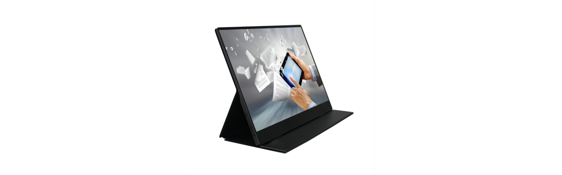 Portable monitor