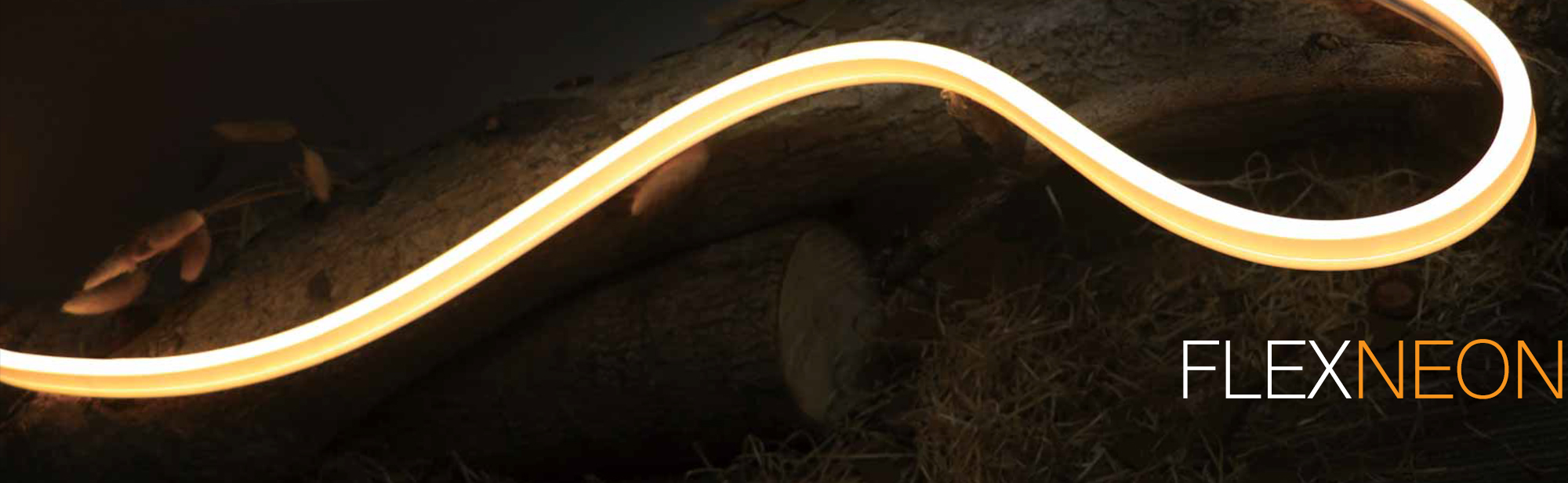 flex neon strip