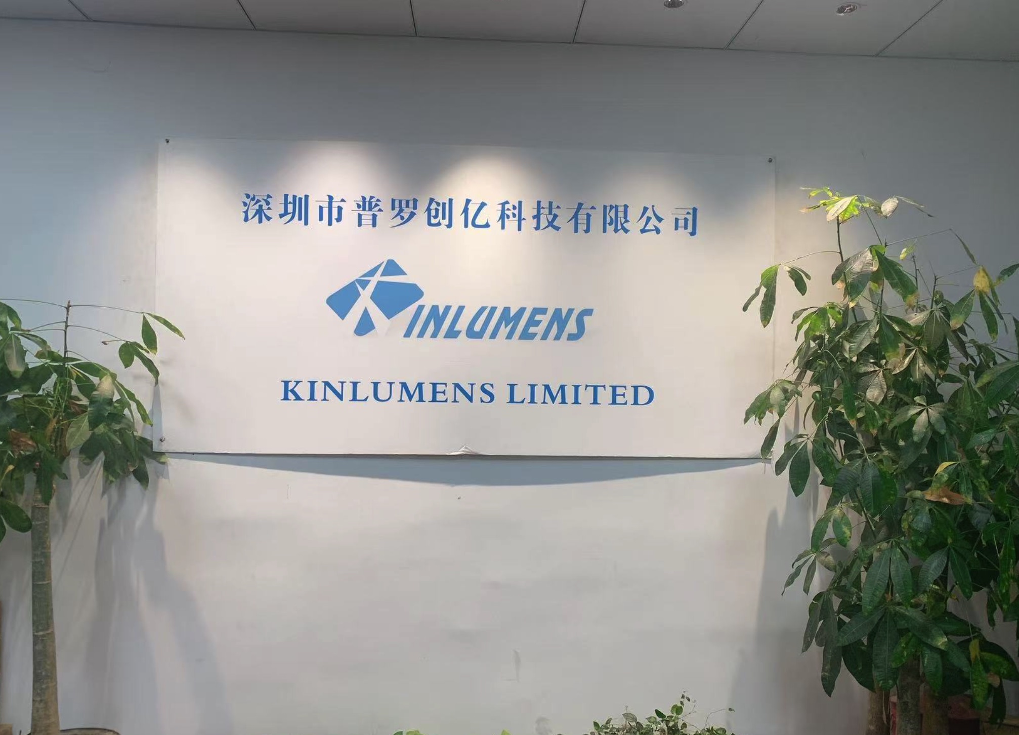 图片展示