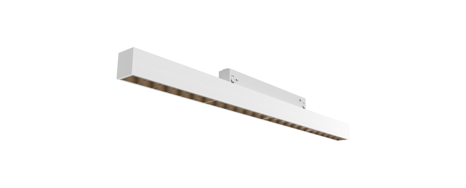 DG31151