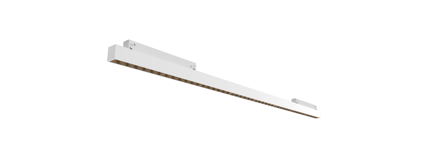 DG31301
