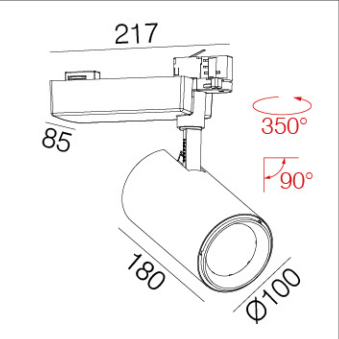 DG31302