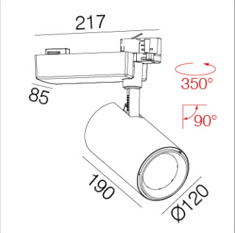 DG31452