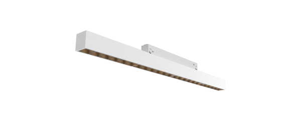 DG31151