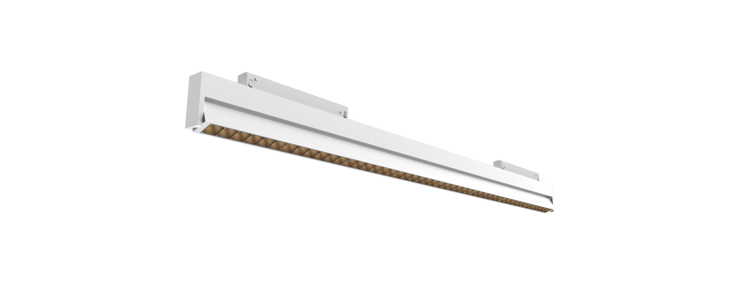 DG33301