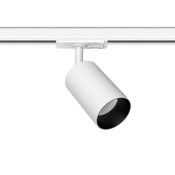 DG30041