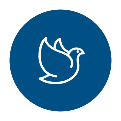 PA��Ѷ(�й���)���� - PlayAce